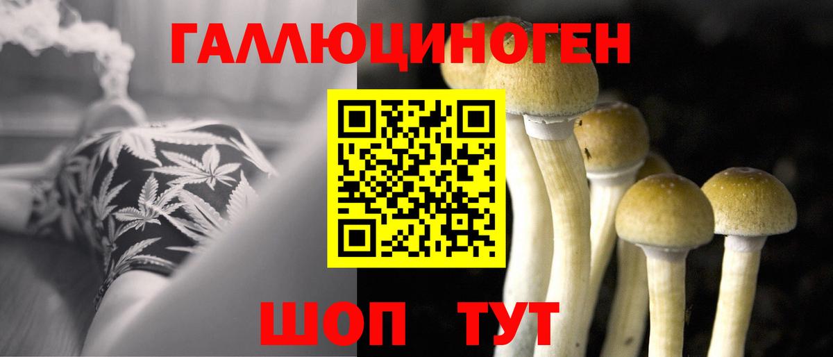 Псилоцибиновые грибы мицелий Электросталь